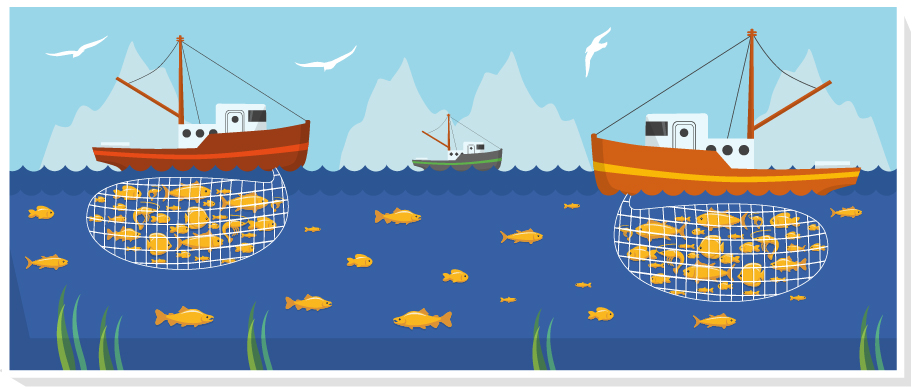 Illustration showing two independent groups targeting the same fish stock