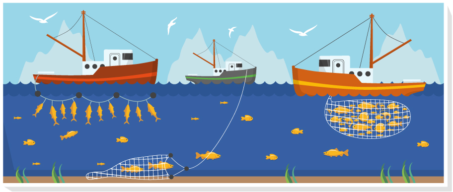 Illustration showing vessels catching different fish species with different fishing gear