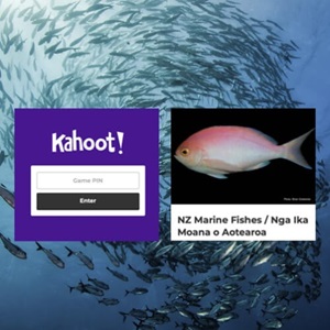 Kahoot! Quizzes