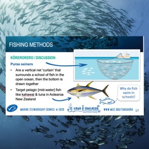 Fishing Methods