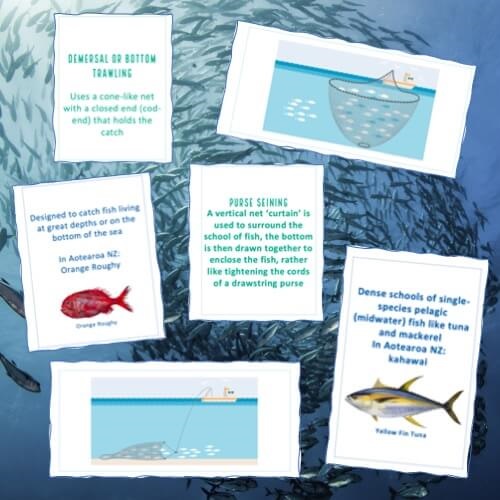 Fishing Methods