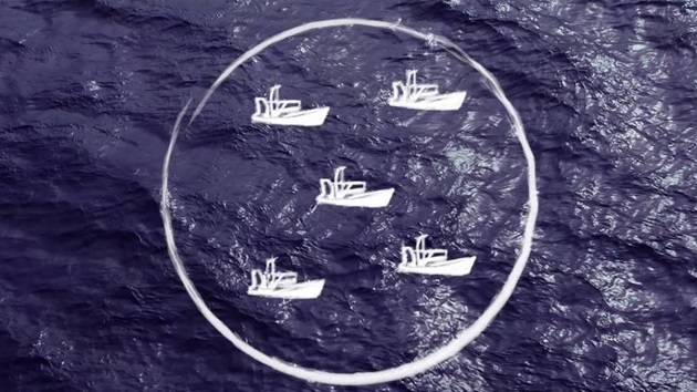 Fisheries management