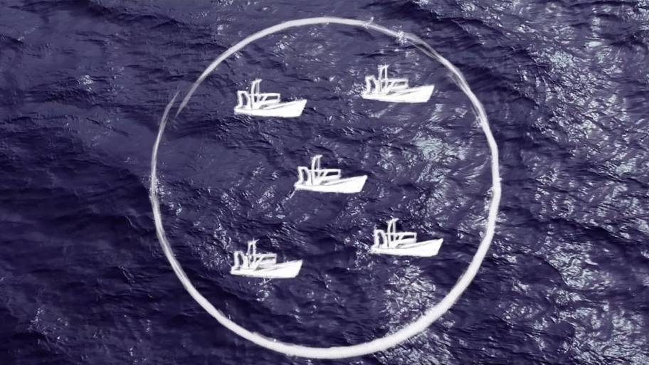 A visualisation of a fishery