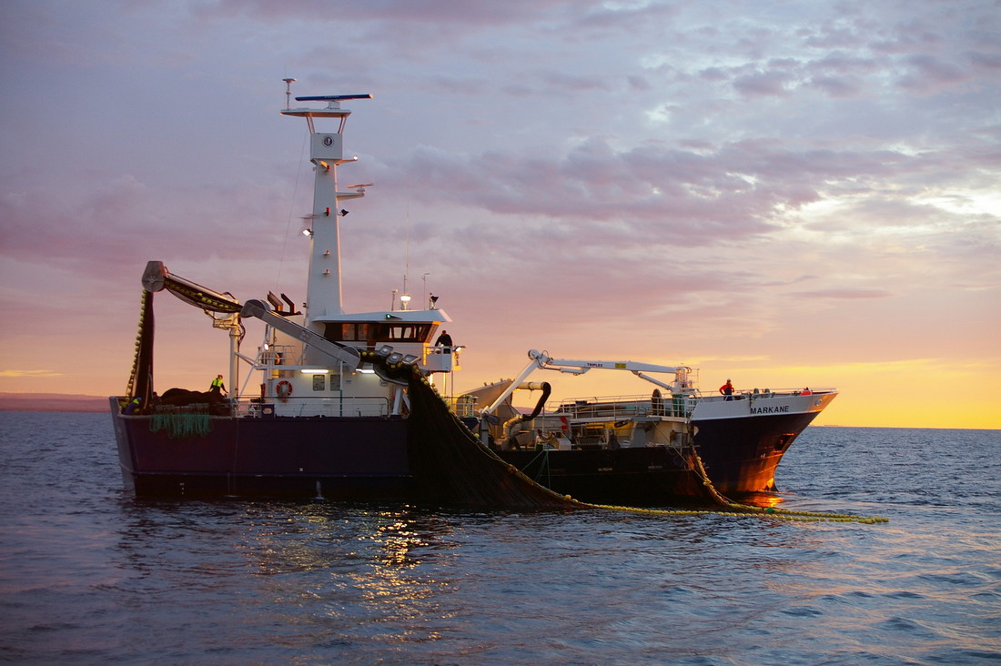 A fishing boat from the South Australian Sardine Fishery, the largest fishery by volume in Australia. Credit: South Australian Sardine Industry Association