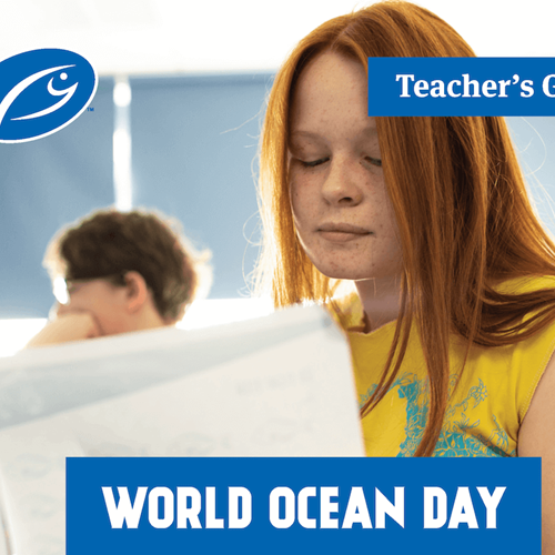 Teacher Guide - Australian Curriculum