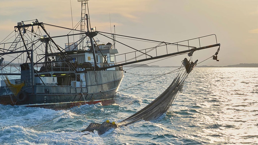 Solutions to overfishing include sustainable fishing practices
