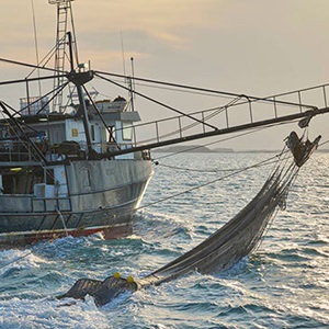 Sustainable fishing
