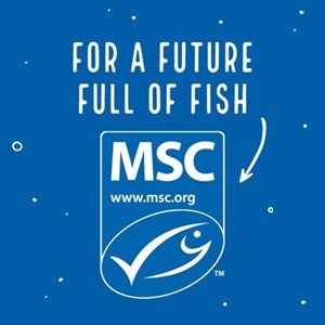 The Blue Fish Tick