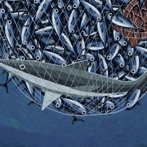 Oceans at Risk