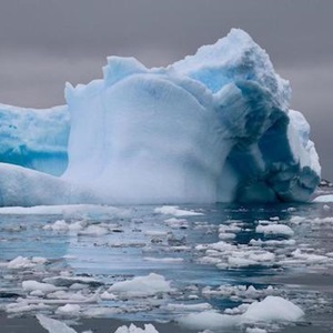 Fishing in Antarctica