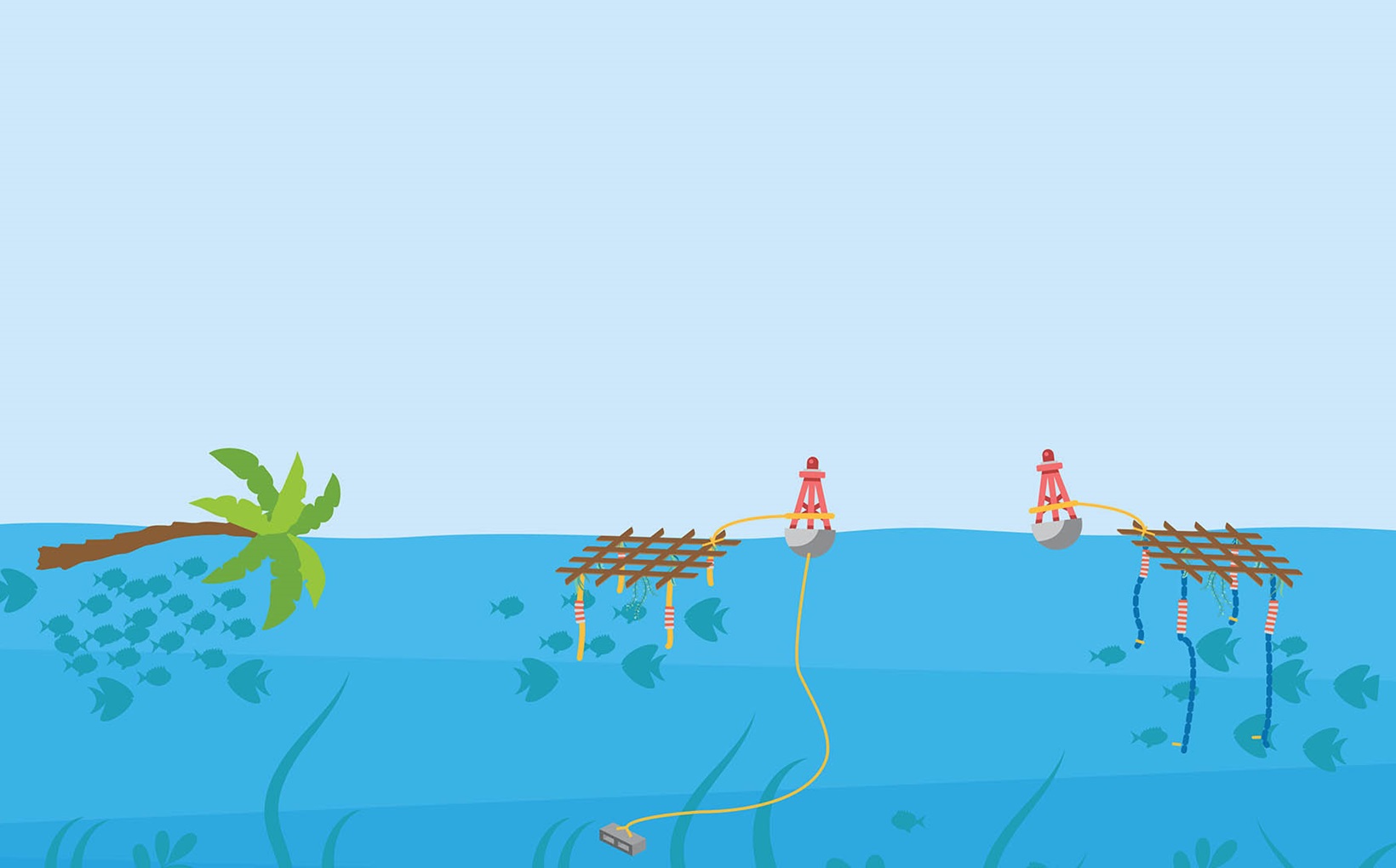 Fish Aggregating Device (FAD) with red buoy