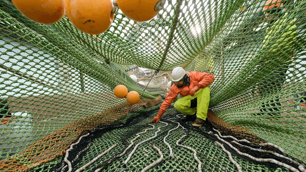 What is bycatch and how can it be managed?