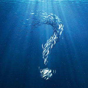 Science, Seaspiracy and different viewpoints on sustainable fishing