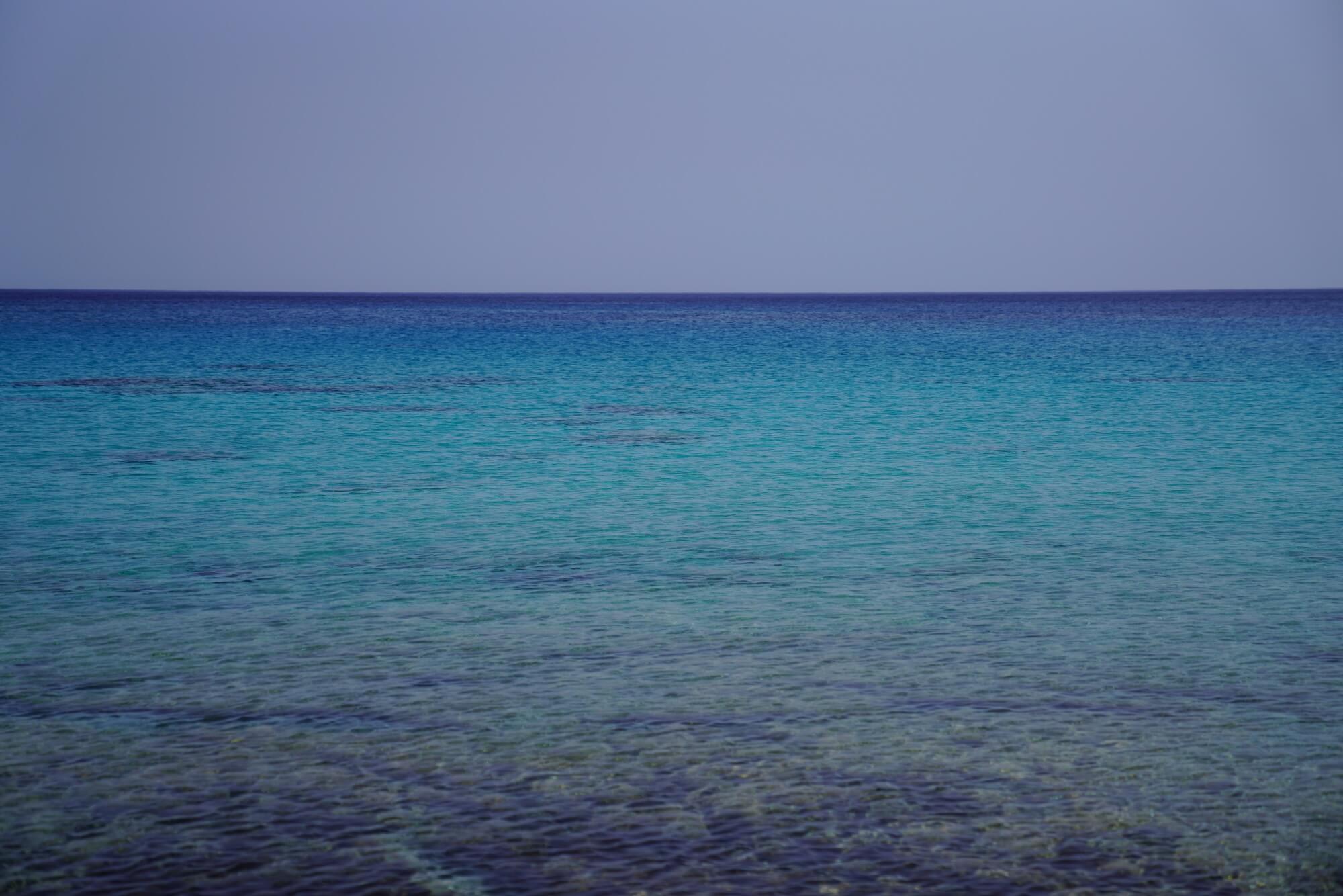 MSC Marine Stewardship Council premiata dalla FAO per il suo contributo allo sviluppo responsabile e sostenibile della pesca