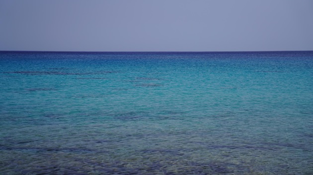 Teacher Survey - 'On the Horizon'