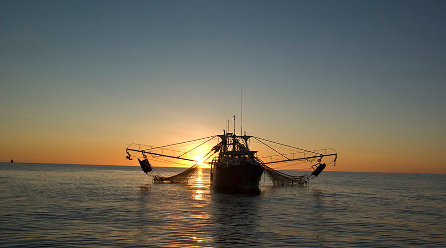 Exmouth Gulf prawn trawler Credit MG Kailis