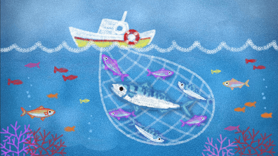 Drawing of a boat in the water