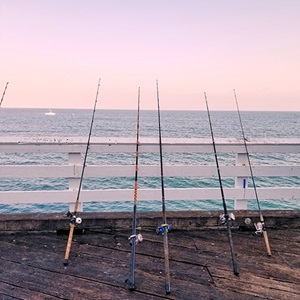 Go Fish! sustainable fishing game