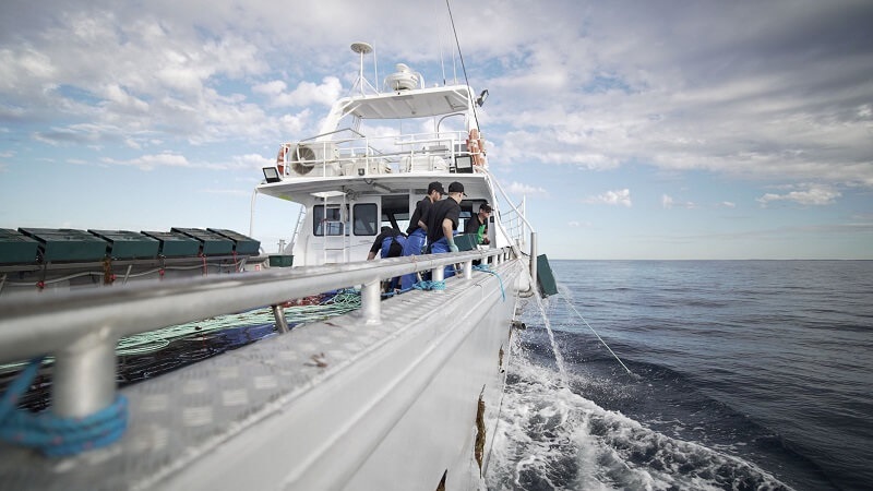 Fremantle Octopus fishing vessel
