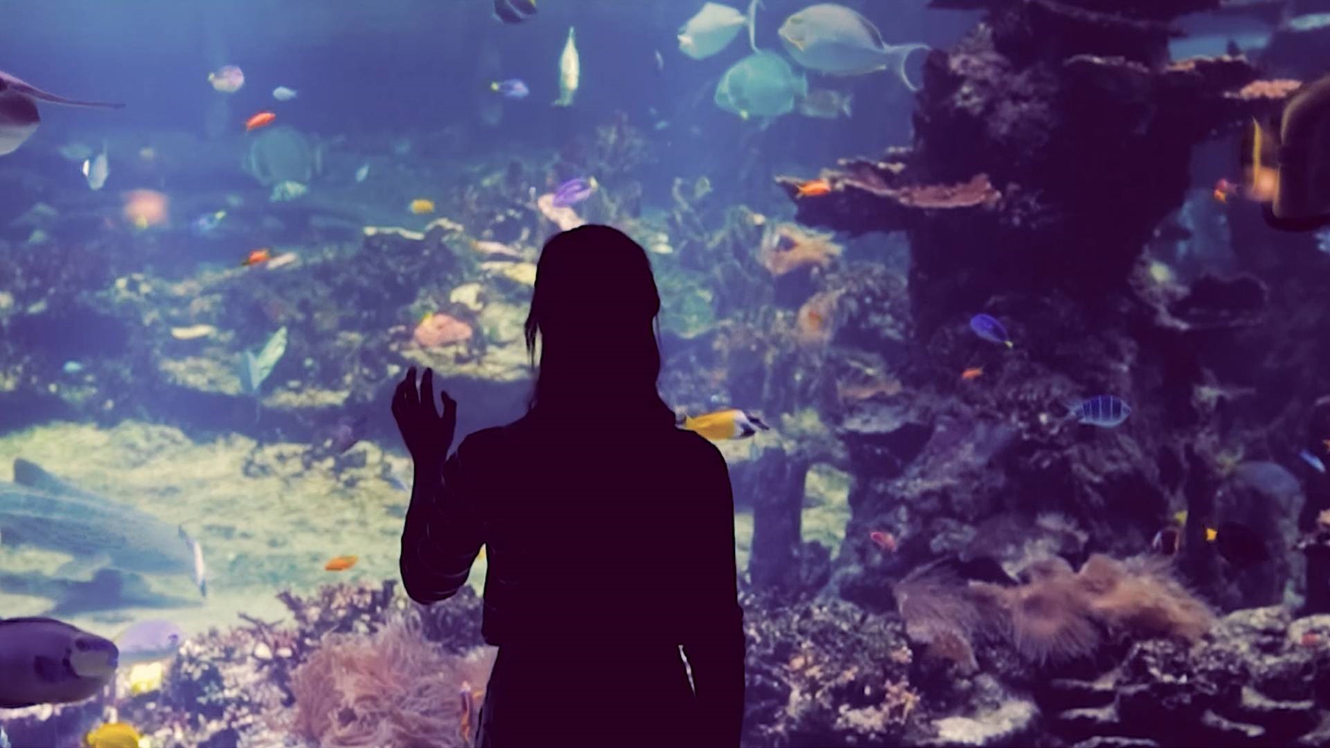 Girl-at-Aquarium-Centre