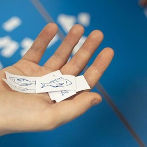 Boost ocean literacy