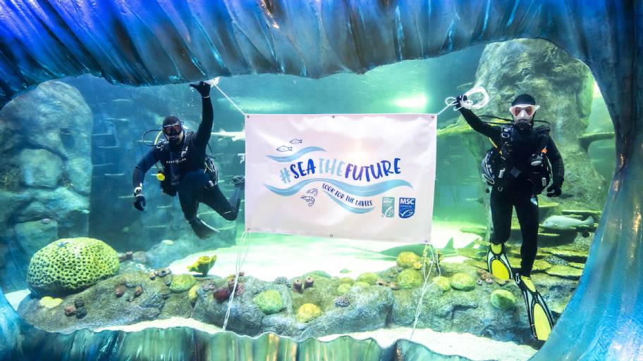 SSW19 SeaLife Divers