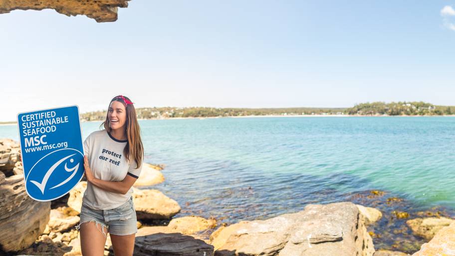 laura-wells-ecolabel-panorama