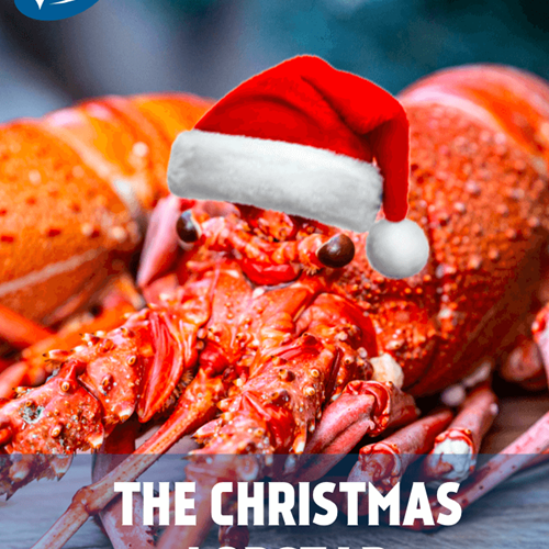 LobStar Lesson Plan