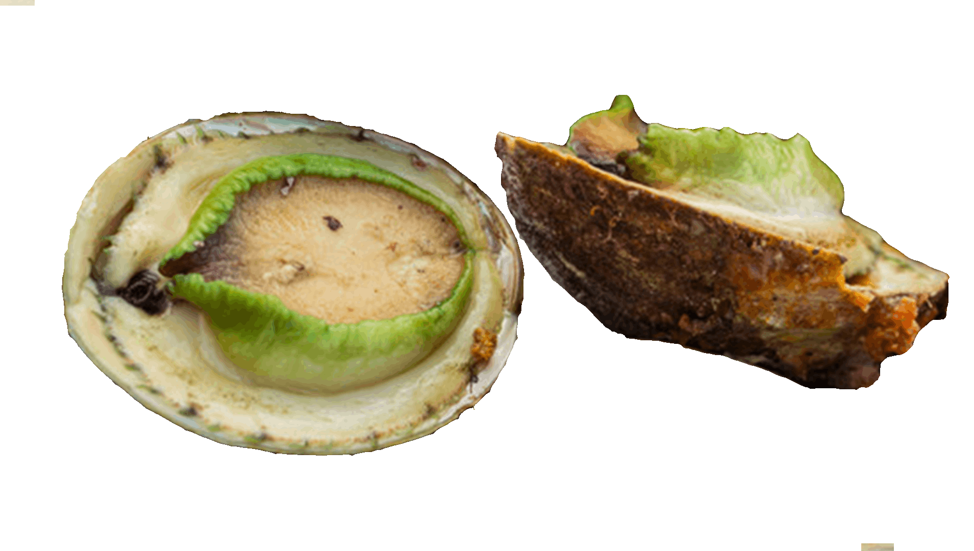 Guide to Eating Sustainable Abalone Marine Stewardship Council