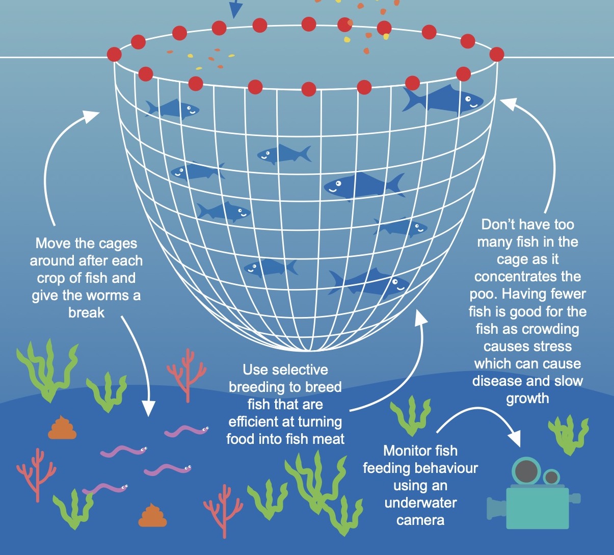 aquaculture graphic