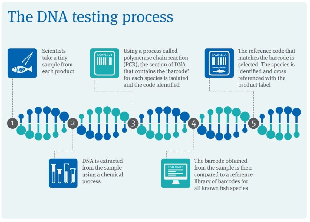 DNA testing process for fish