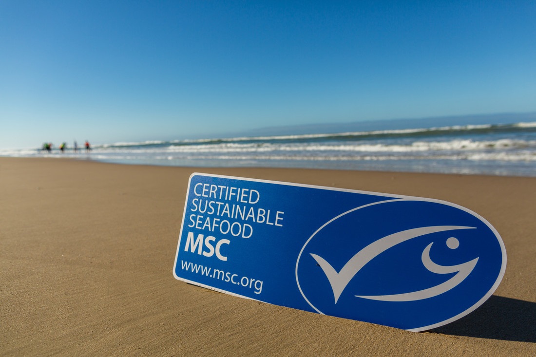 MSC ecolabel on beach