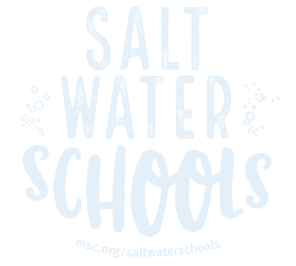 Saltwater-Schools