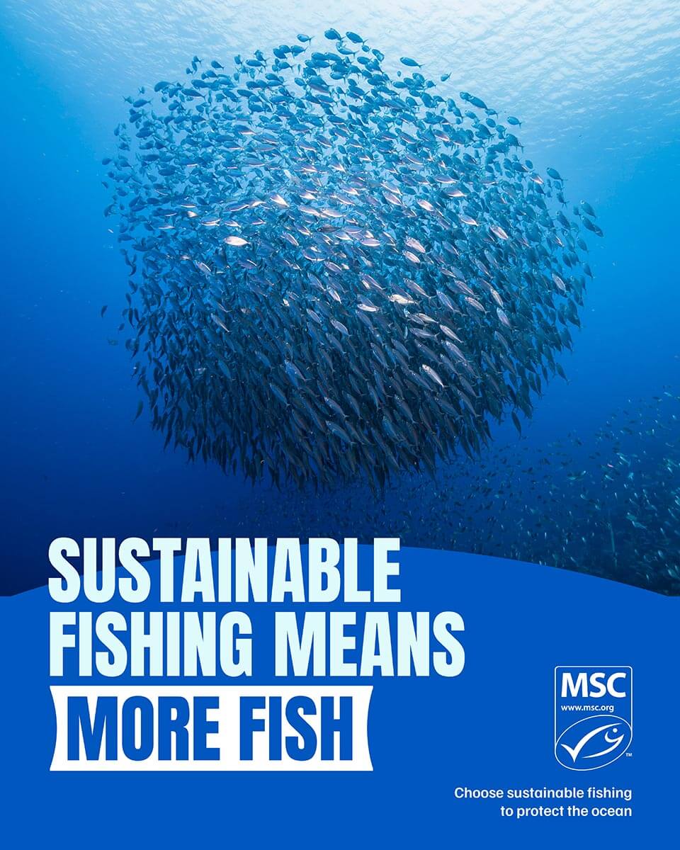 Little Blue Label Big Blue Future - Look for the MSC blue fish tick this World Oceans Day