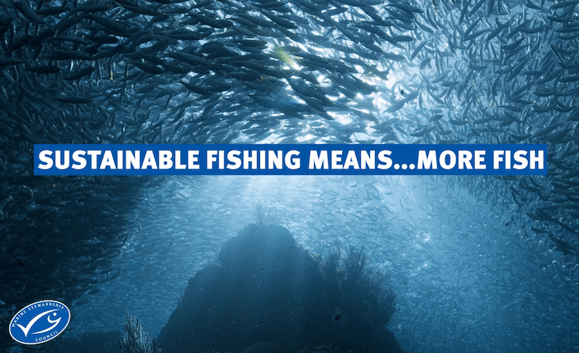 More Fish