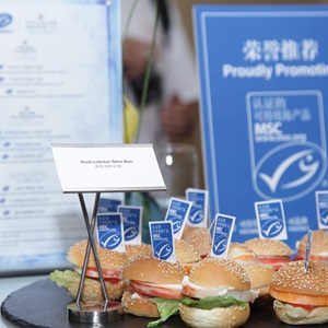 Why China is increasingly demanding sustainable seafood from Australia