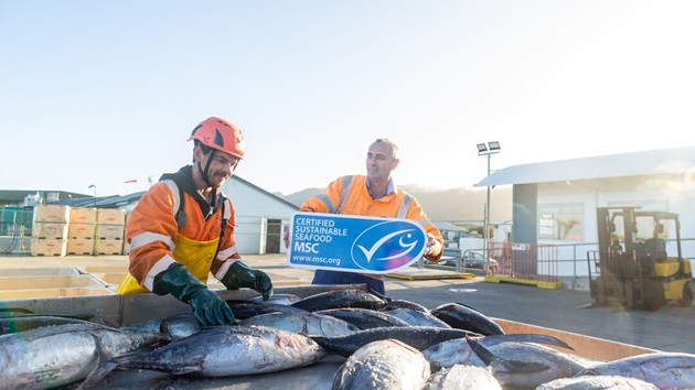 Kahoot! Quiz: Albacore Tuna