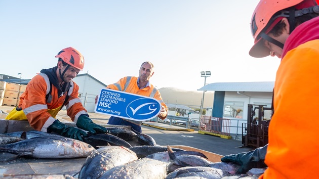 Aotearoa New Zealand