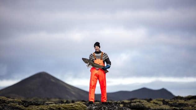 Cod - Iceland