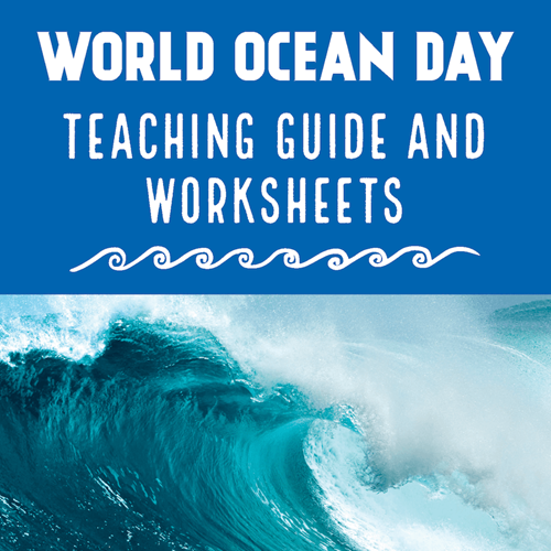 Teacher Guide - NESA Syllabus