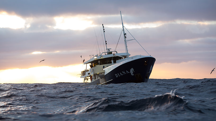 Diana fishing vessel