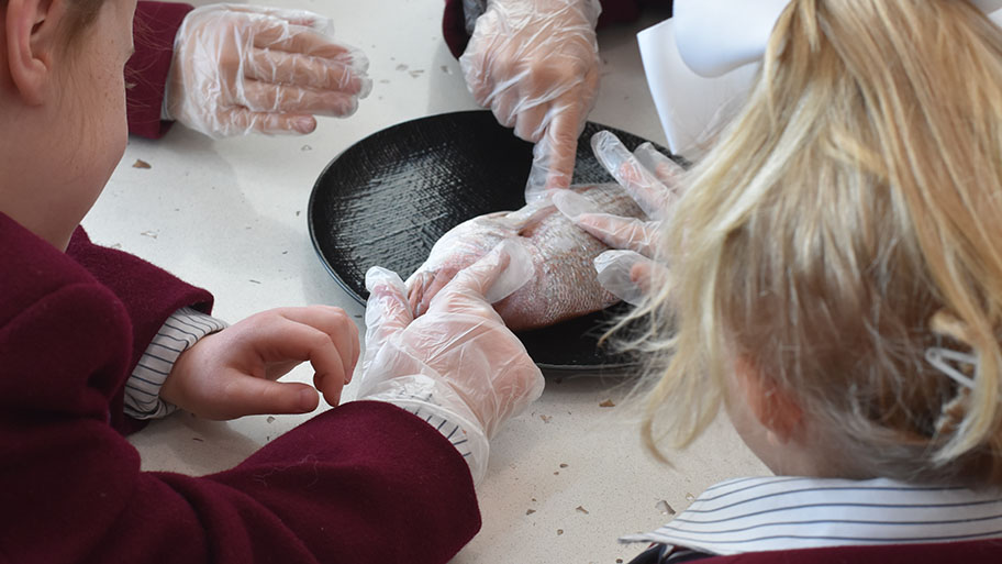 Children touching fish with gloved hands