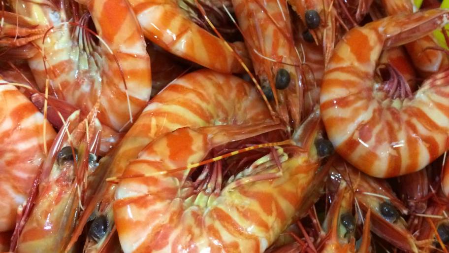 Exmouth prawns. A story of industry, science and sunsets