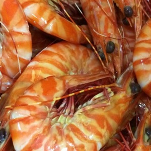 Exmouth prawns. A story of industry, science and sunsets