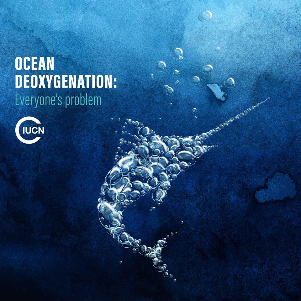 Ocean deoxygenation - everyone's problem