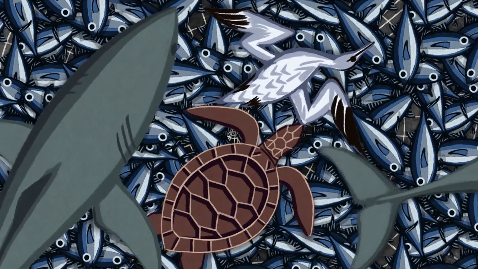 Topic 1- Oceans at risk, the MSC & sustainable fishing Biology Diagrams