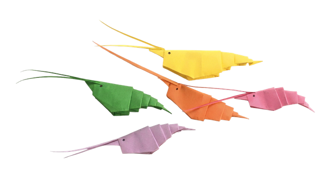 Prawn Origami