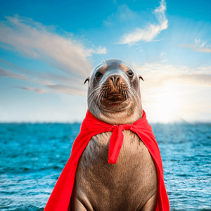 An Ocean Superhero