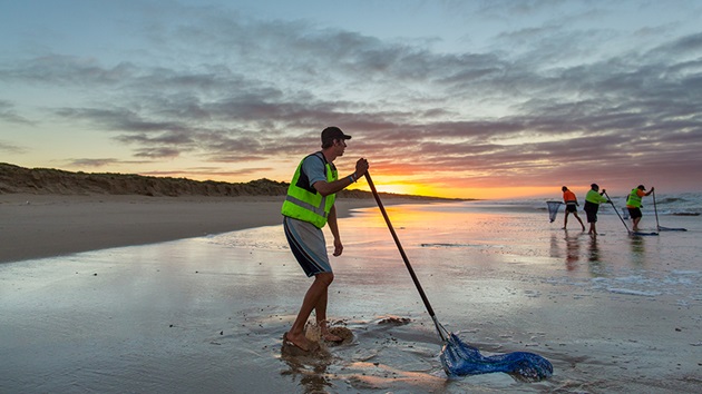 Lakes and Coorong Pipis