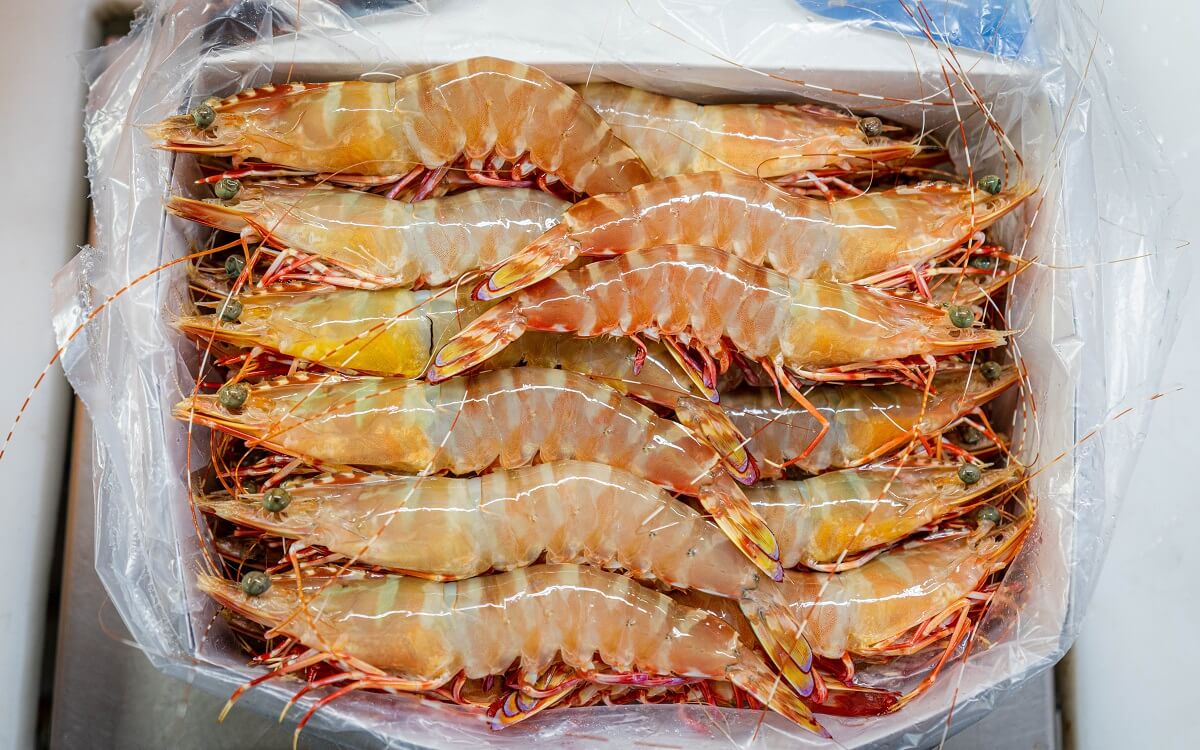 Skull Island Prawns inside a box